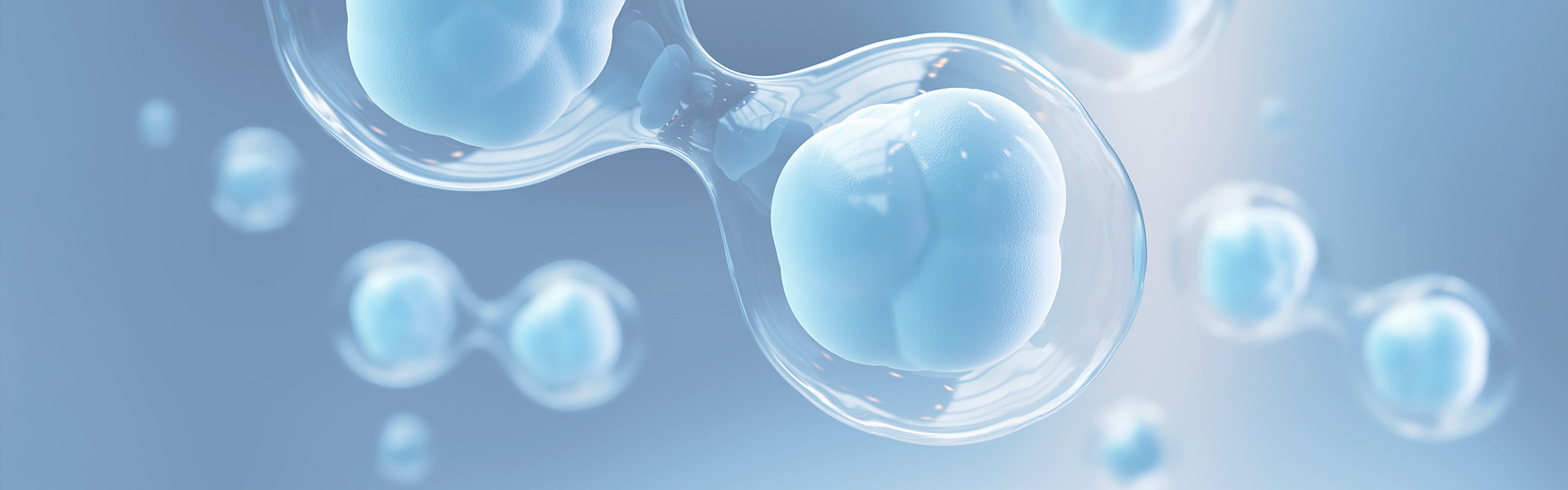 万利·(中国区)有限公司官网