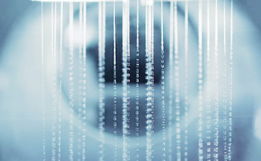 万利·(中国区)有限公司官网